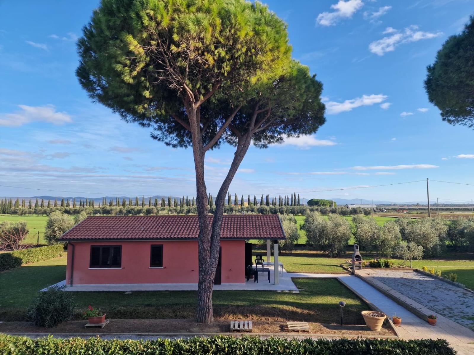 Agriturismo Nonno Gino - Charme&Relax Piombino Exterior foto